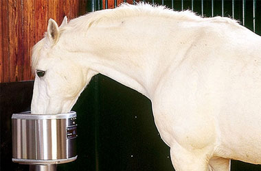Horse Waterers and Feeders 